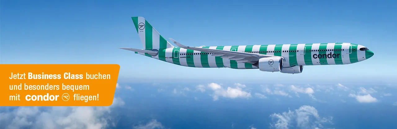 Header_1280x418px_WKZ_condor_ly02