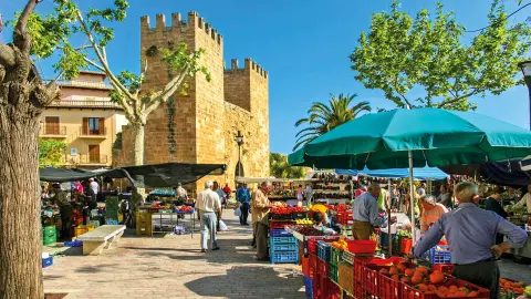 Besuch eines Markt in Alcúdia-placeholder